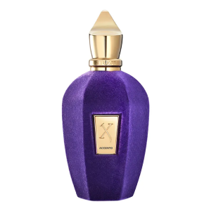 Xerjoff Accento Eau de Parfum 100ML